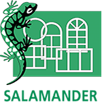 Salamander